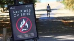 Temporary ban on disposable BBQs as military deployed to help battle wildfires