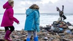 Harry Potter fans force diversion of UK-Ireland power link to avoid Dobby’s grave