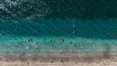 World’s oceans hit record-high July temperatures
