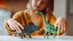 As Christmas rush looms, how do China-made toys find their way to the US?