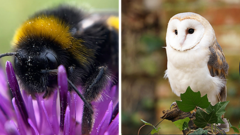 The wildlife winners set to appear on your banknotes revealed